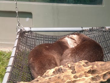 サンシャイン水族館に投稿された画像（2020/11/29）