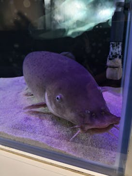 株式会社Gに投稿された画像（2020/11/29）