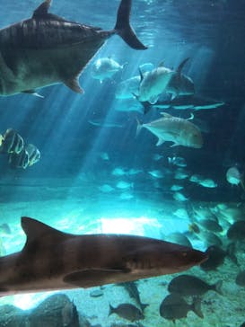 株式会社Gに投稿された画像（2020/11/29）