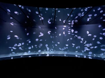 サンシャイン水族館に投稿された画像（2020/11/29）