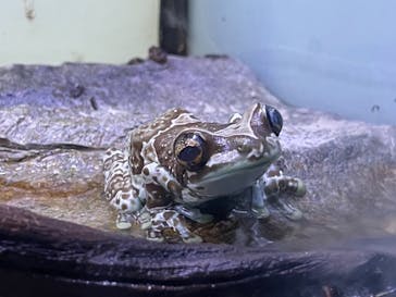 サンシャイン水族館に投稿された画像（2020/11/29）