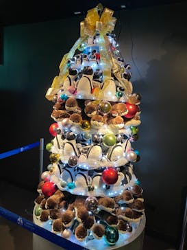 サンシャイン水族館に投稿された画像（2020/11/29）