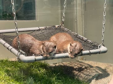 サンシャイン水族館に投稿された画像（2020/11/29）