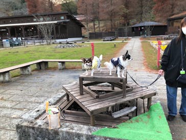 わんダフルネイチャーヴィレッジに投稿された画像（2020/11/29）