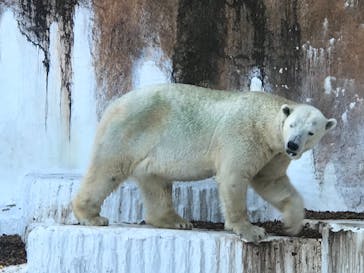 天王寺動物園に投稿された画像（2020/11/29）