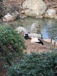 天王寺動物園に投稿された画像（2020/11/29）