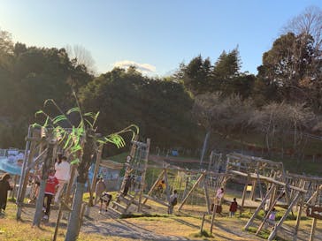 さがみ湖MORI MORIに投稿された画像（2020/11/29）