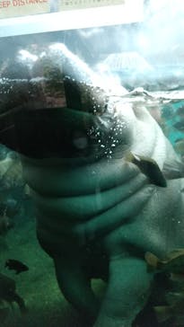 天王寺動物園に投稿された画像（2020/11/29）