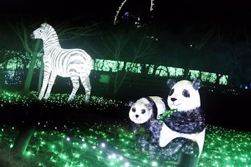 さがみ湖MORI MORIに投稿された画像（2020/11/29）