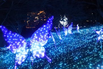 さがみ湖MORI MORIに投稿された画像（2020/11/29）