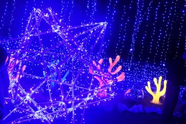 さがみ湖MORI MORIに投稿された画像（2020/11/29）