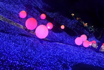 さがみ湖MORI MORIに投稿された画像（2020/11/29）