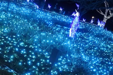 さがみ湖MORI MORIに投稿された画像（2020/11/29）