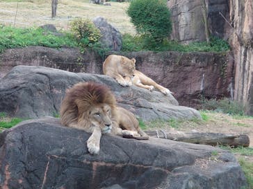 天王寺動物園に投稿された画像（2020/11/29）