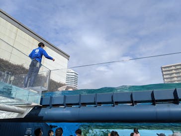 サンシャイン水族館に投稿された画像（2020/11/29）