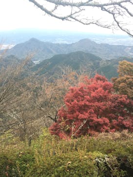 伊豆パノラマパークに投稿された画像（2020/11/29）