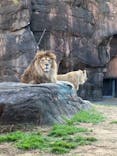 天王寺動物園に投稿された画像（2020/11/29）