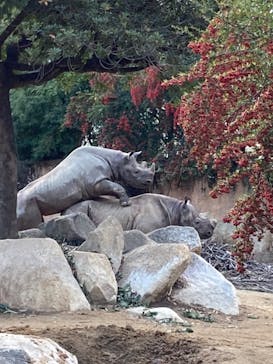 天王寺動物園に投稿された画像（2020/11/29）