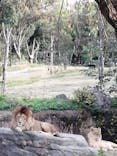 天王寺動物園に投稿された画像（2020/11/29）