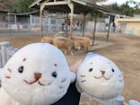 天王寺動物園に投稿された画像（2020/11/29）