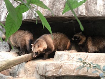 天王寺動物園に投稿された画像（2020/11/29）