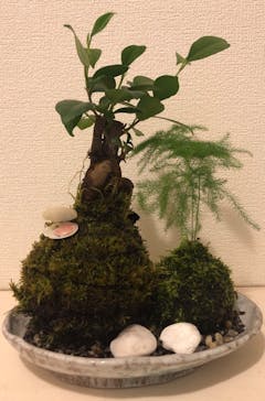 伊勢夫婦岩めおと横丁　めおと岩アクティビティに投稿された画像（2020/11/29）