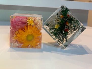 ずこうしつ〜sugamo〜に投稿された画像（2020/11/29）