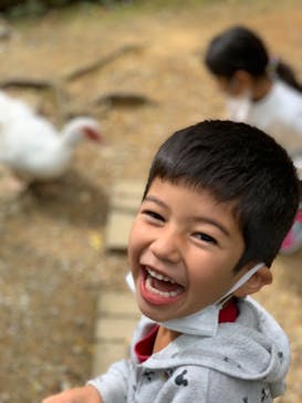 ネオパークオキナワに投稿された画像（2020/11/29）