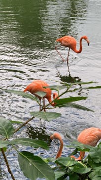 ネオパークオキナワに投稿された画像（2020/11/29）