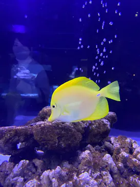 すみだ水族館に投稿された画像（2020/11/29）