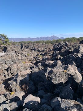 鬼押出し園に投稿された画像（2020/11/29）