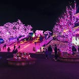 よみうりランド 遊園地に投稿された画像（2020/11/29）