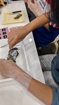 九十九島水族館海きららに投稿された画像（2020/11/29）