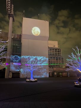 東京メガイルミに投稿された画像（2020/11/29）