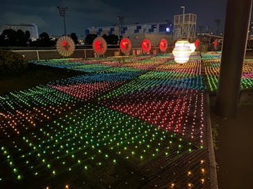 東京メガイルミに投稿された画像（2020/11/29）