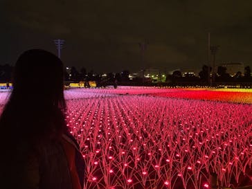 東京メガイルミに投稿された画像（2020/11/29）