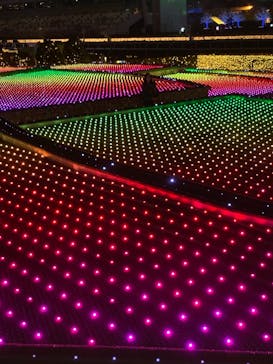 東京メガイルミに投稿された画像（2020/11/29）