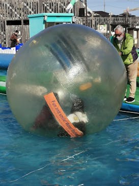 伊豆ぐらんぱる公園に投稿された画像（2020/11/29）