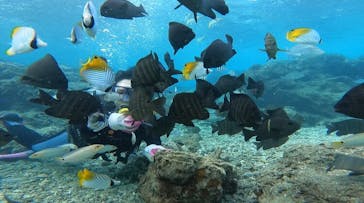 武藤潜水に投稿された画像（2020/11/29）