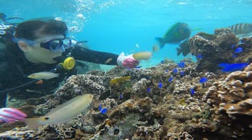 武藤潜水に投稿された画像（2020/11/29）