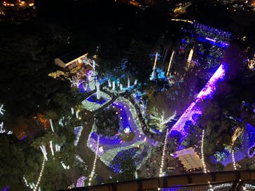 江の島シーキャンドルに投稿された画像（2020/11/29）