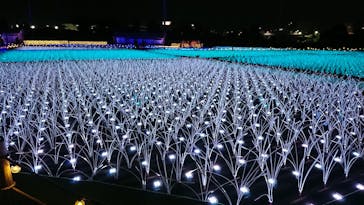 東京メガイルミに投稿された画像（2020/11/29）