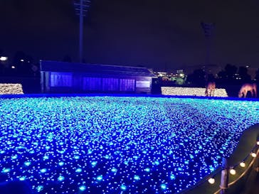 東京メガイルミに投稿された画像（2020/11/29）