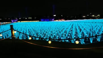 東京メガイルミに投稿された画像（2020/11/29）