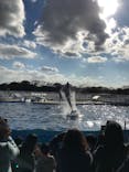 京都水族館に投稿された画像（2020/11/29）