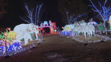 東武動物公園に投稿された画像（2020/11/29）