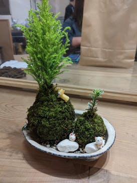 伊勢夫婦岩めおと横丁　めおと岩アクティビティに投稿された画像（2020/11/29）