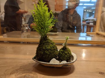 伊勢夫婦岩めおと横丁　めおと岩アクティビティに投稿された画像（2020/11/29）