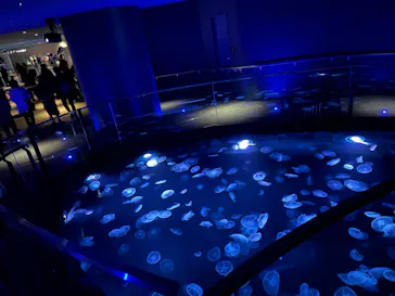 すみだ水族館に投稿された画像（2020/11/29）