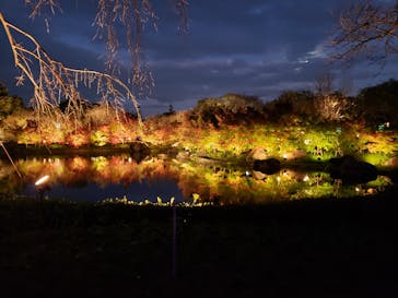 なばなの里に投稿された画像（2020/11/29）